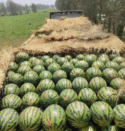 2021吃瓜网,年度娱乐圈大事件盘点