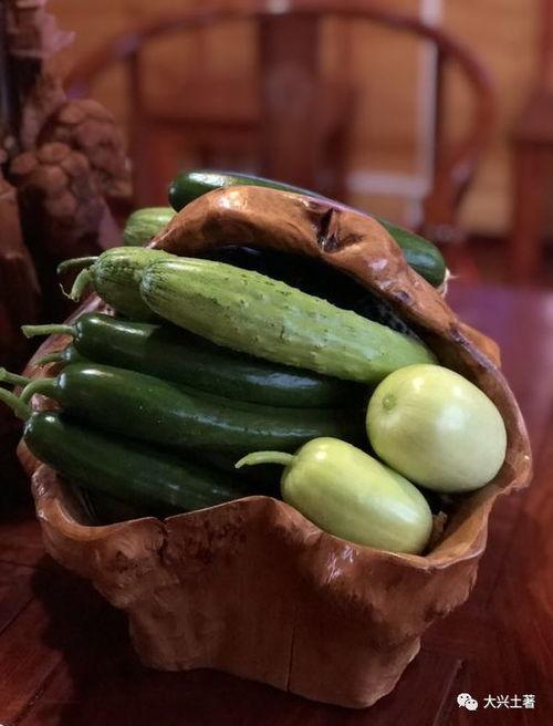 有瓜可以吃的网红,揭秘网红瓜界的美食传奇