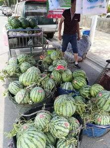 台州网红吃瓜事件视频,一场网络热议的幕后真相揭秘