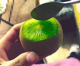 抖音网红吃瓜百度,揭秘百度背后的秘密