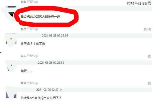 5.1吃瓜网最新版本,揭秘娱乐圈最新动态，带你畅游八卦海洋