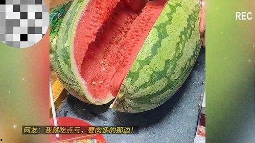 大瓜吃料网免费,大瓜吃料网带你畅游明星幕后故事