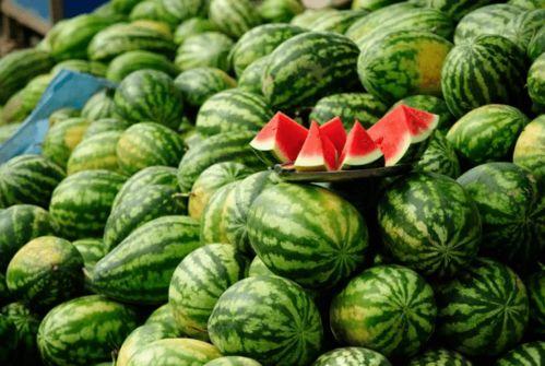 青海藏族网红吃瓜,揭秘高原生活趣味瞬间