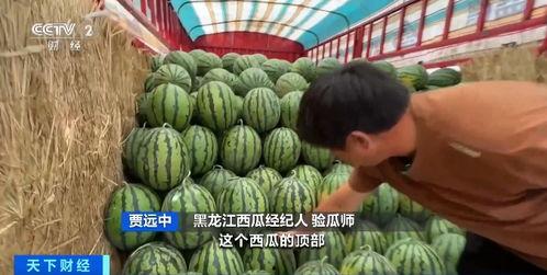 路雪吃瓜网,揭秘娱乐圈幕后故事，带你领略明星真实生活