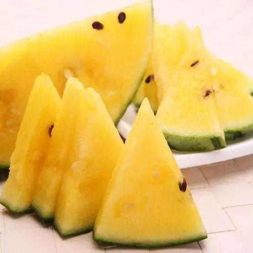 网红吃瓜的最佳平台推荐