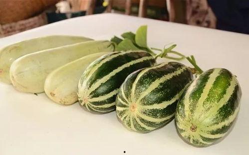 吃瓜网红音乐叫什么,揭秘“吃瓜网红音乐”背后的故事